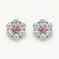 Rosé Bloom Stud Earrings